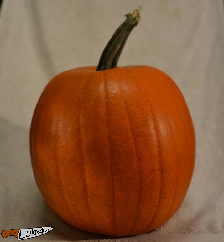 Dynia Dynia